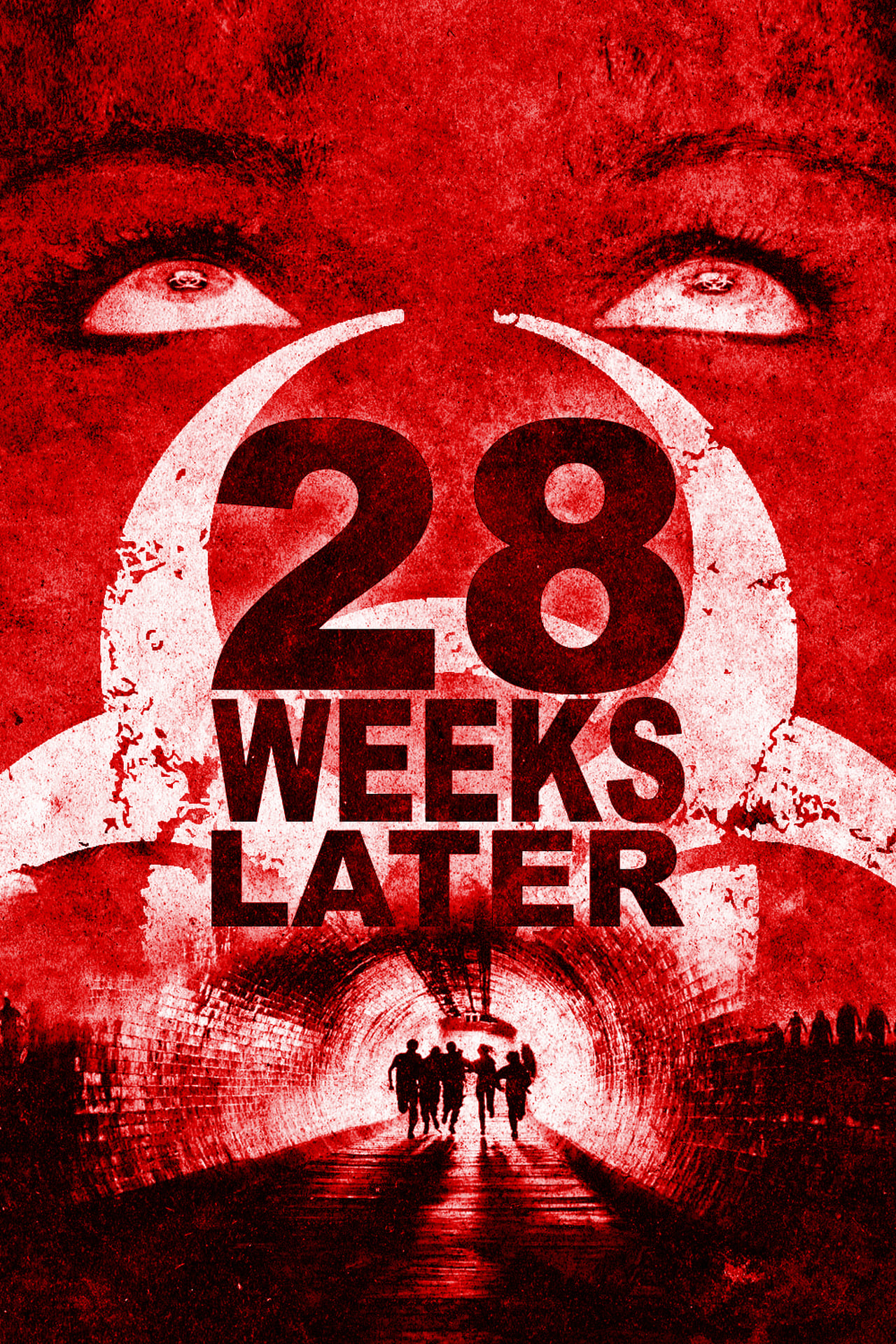 Watch Free 28 Weeks Later (2007) HD Free Movies at. 