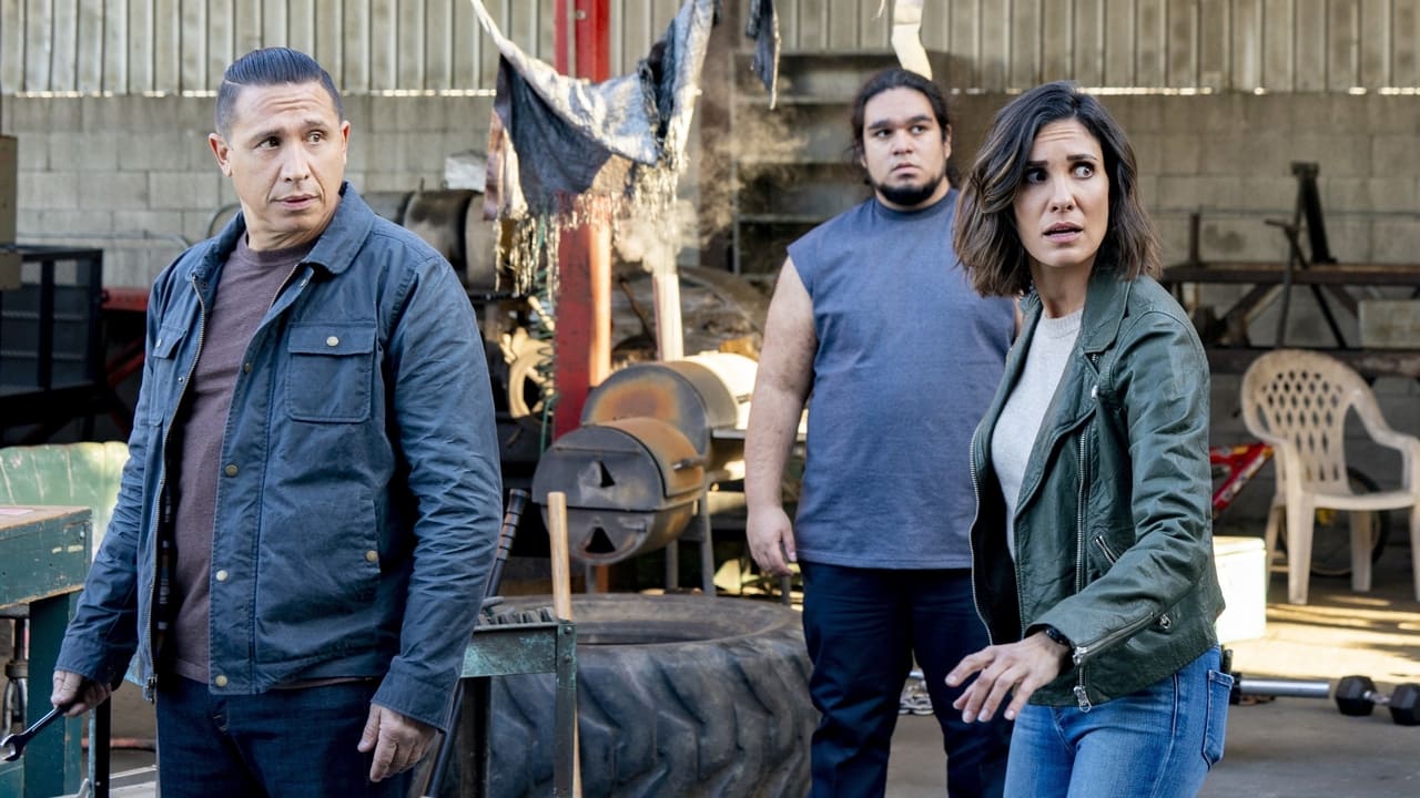 NCIS: Los Angeles - Season 12 Episode 9 : A Fait Accompli