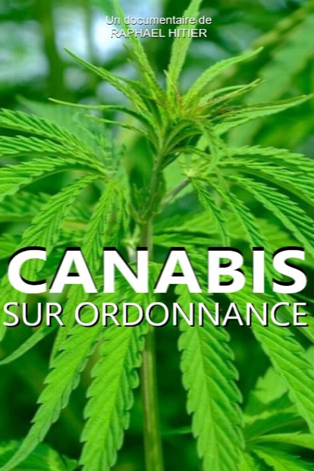 Cannabis sur ordonnance filmaffisch