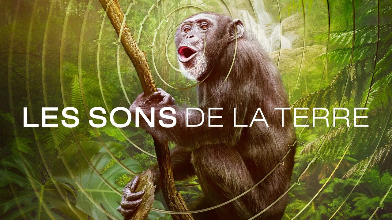 Earthsounds : les sons de la Terre background