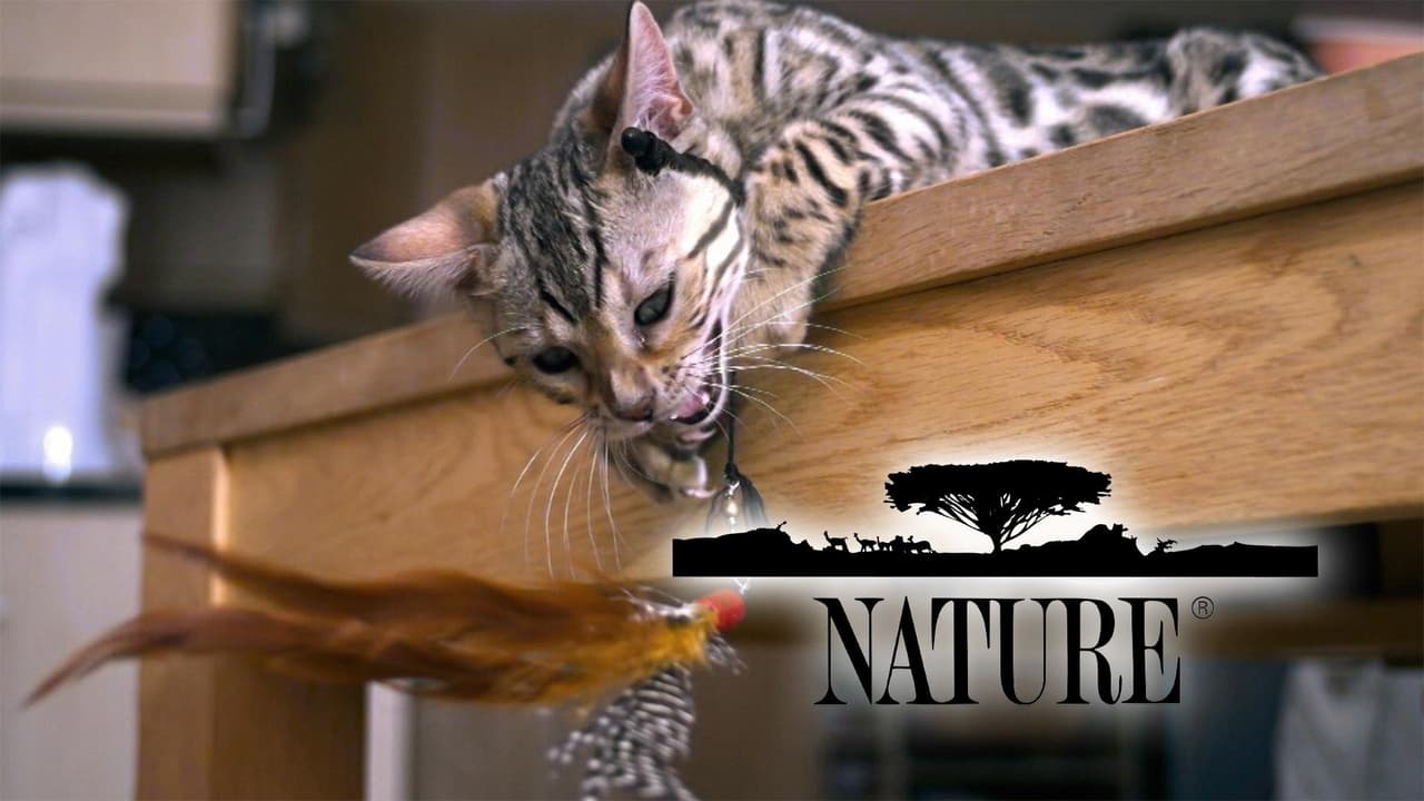 Nature - Season 4 Episode 16 : Secrets of an African Jungle