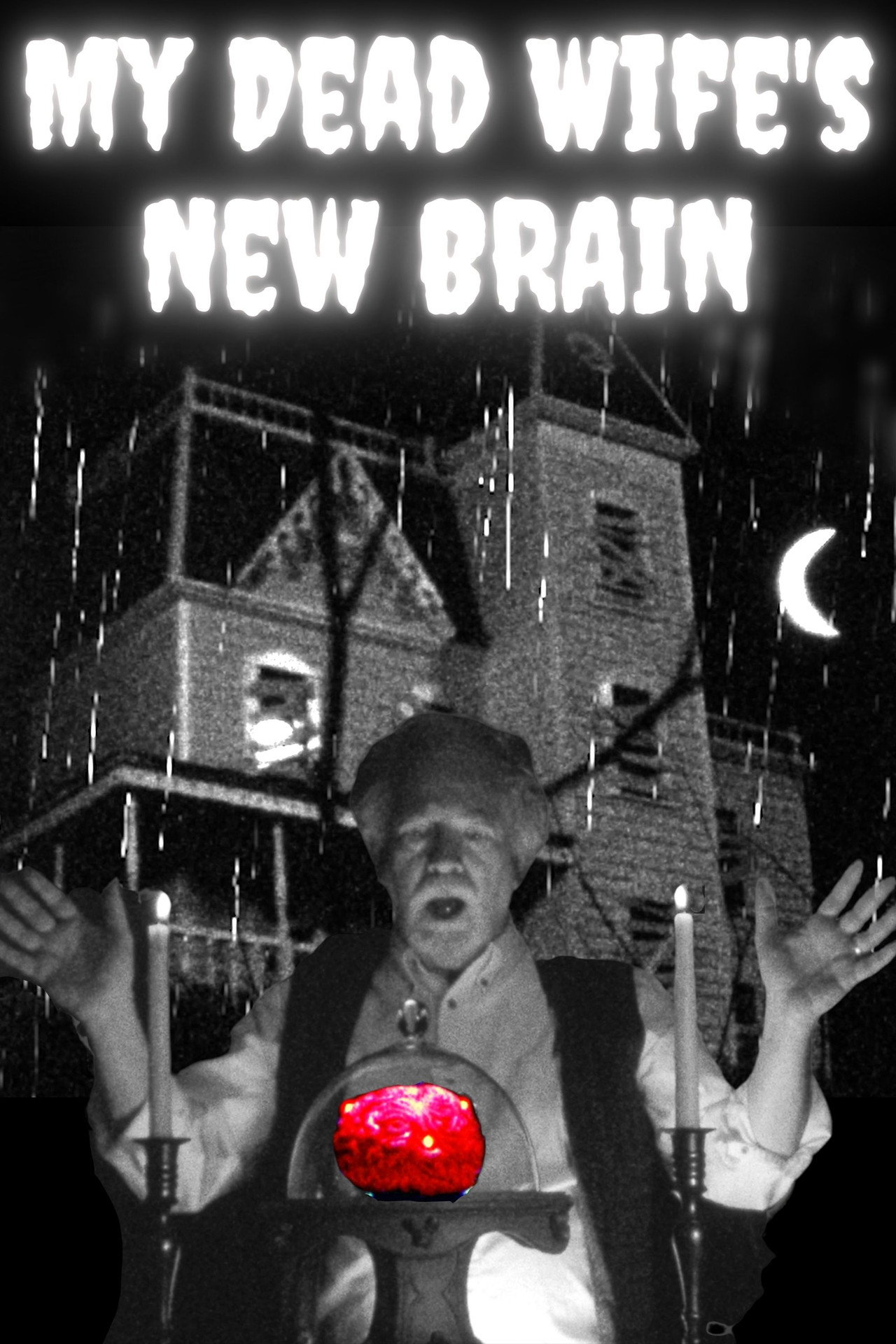 My Dead Wife's New Brain filmaffisch