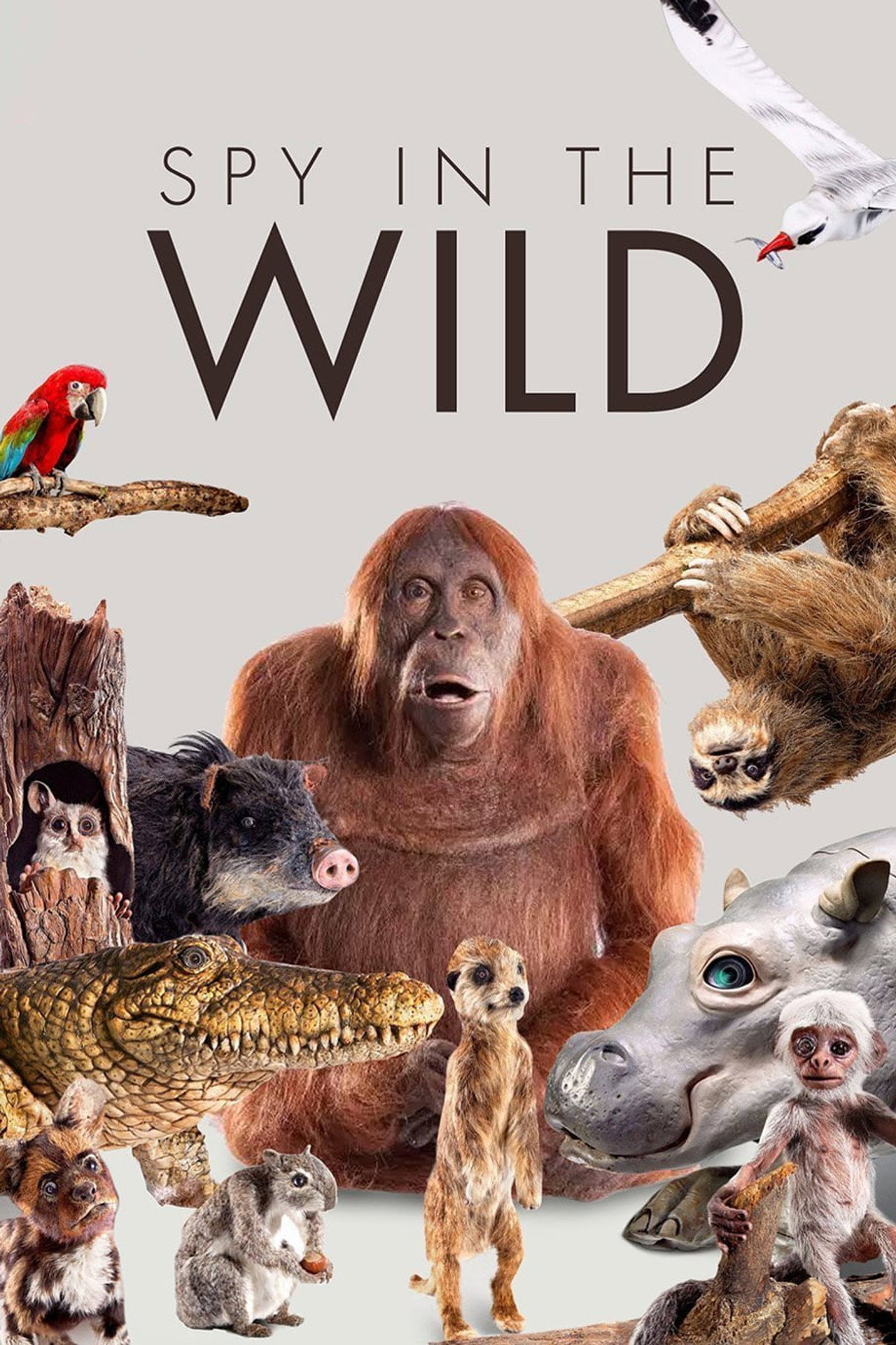 posters 5