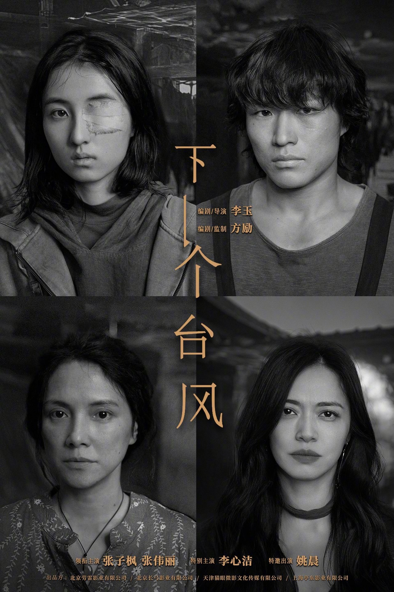 مشاهدة فيلم After Typhoon مترجم بدون اعلانات - بوستر