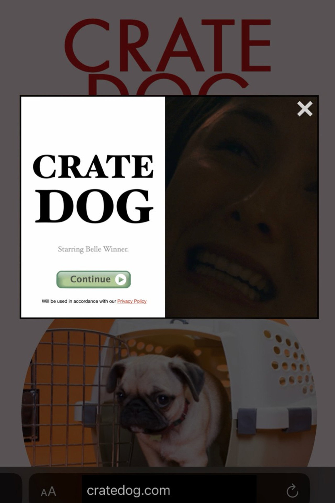 Crate Dog filmaffisch