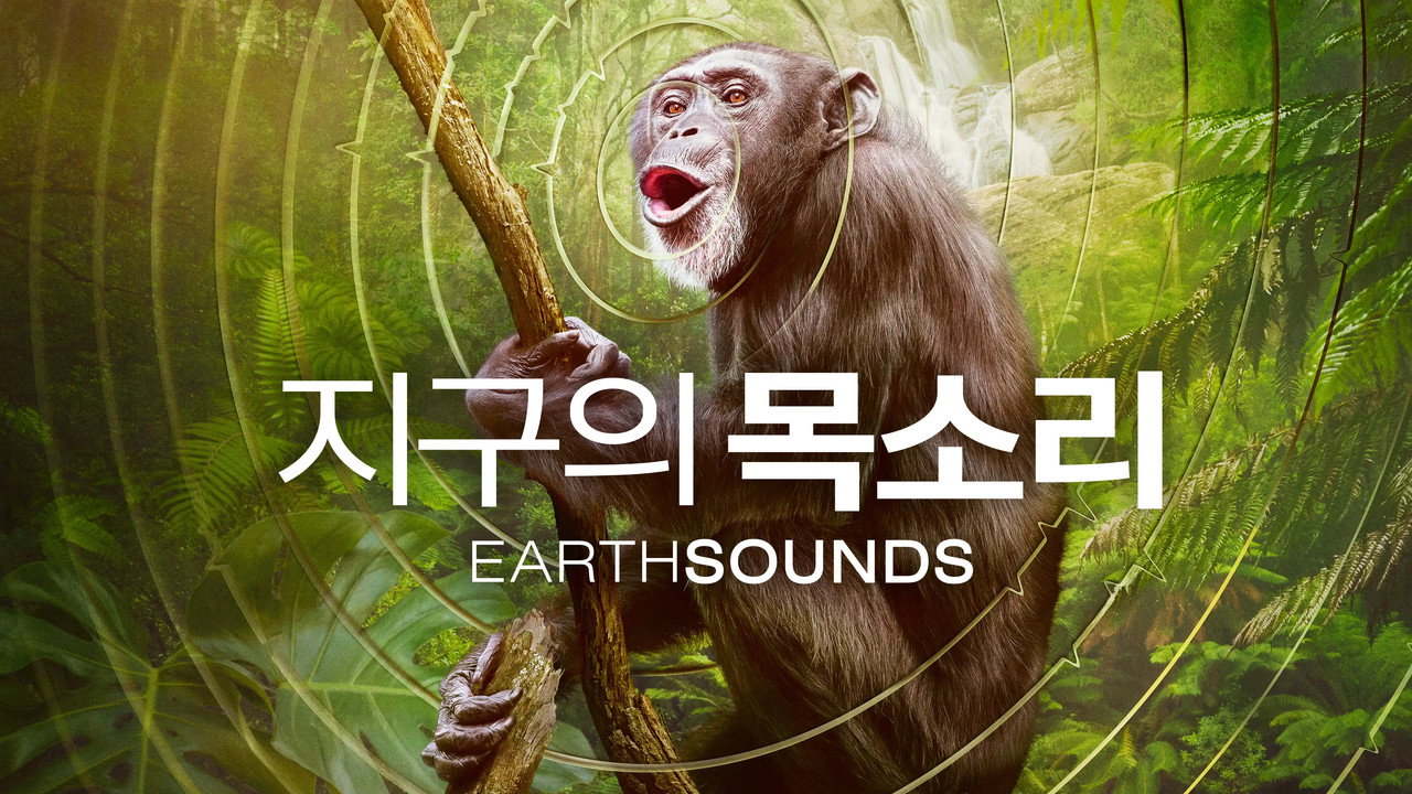 Earthsounds still 9