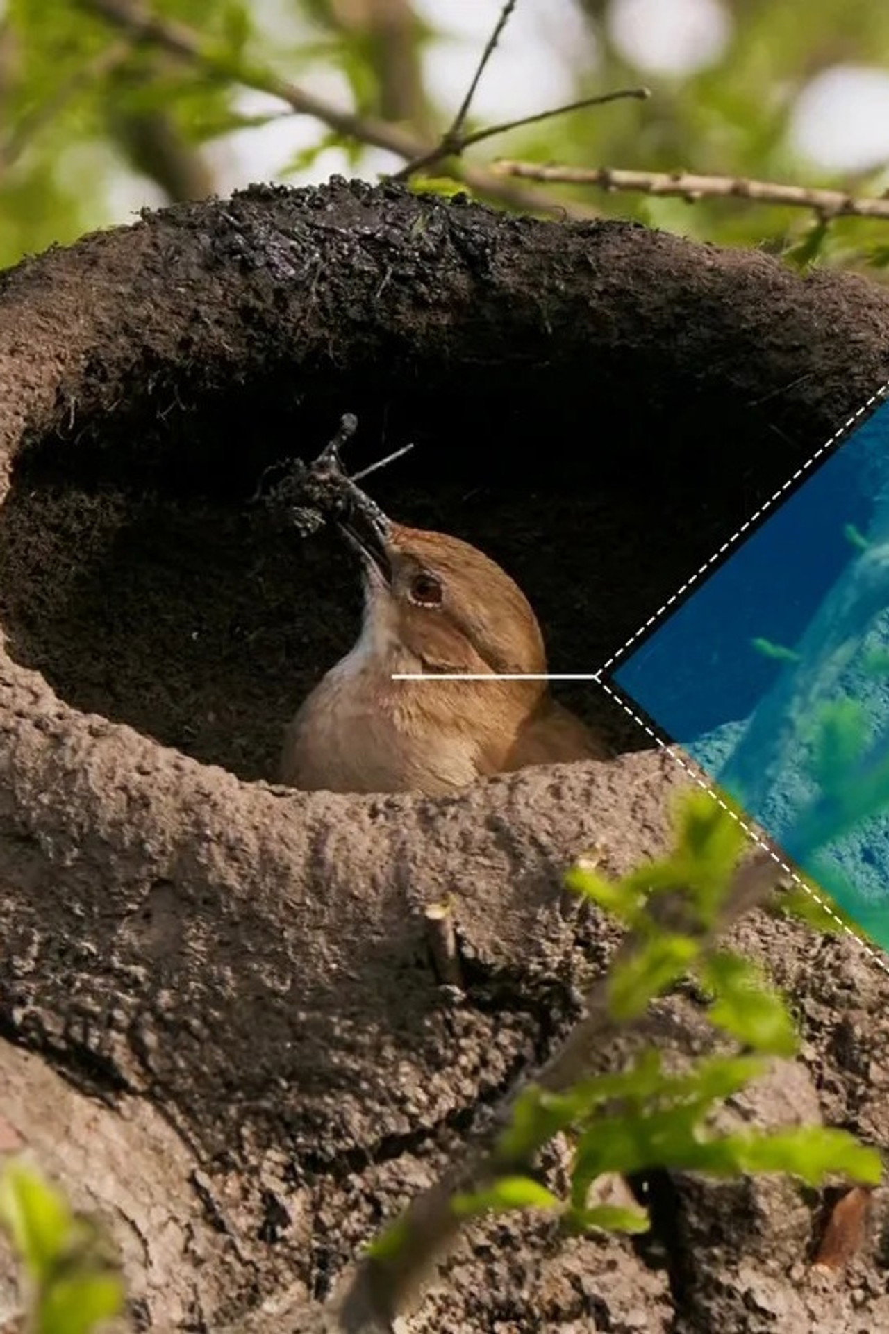 Animal Construction still 6