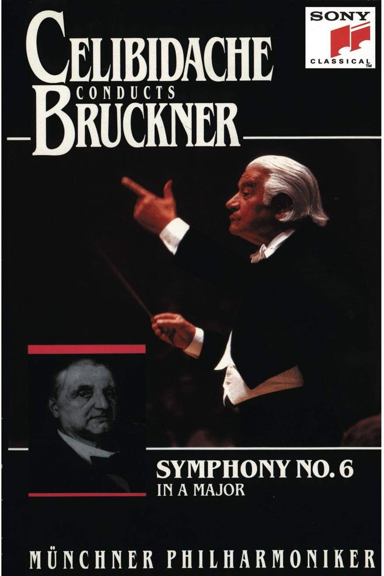 Bruckner - Symphony No. 6 (Sergiu Celibidache, live at Philharmonie am Gasteig, Munich) Backdrop