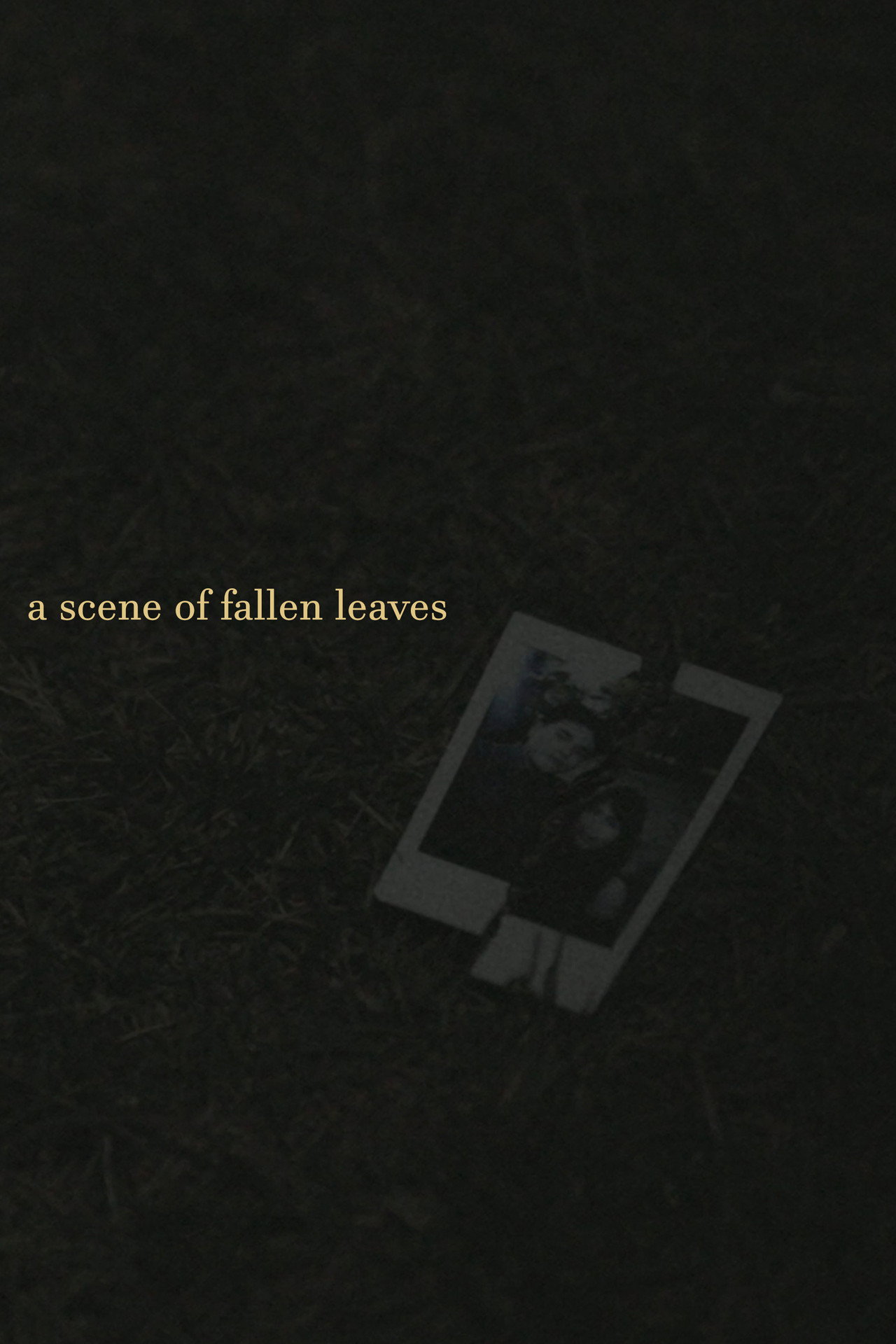 a scene of fallen leaves