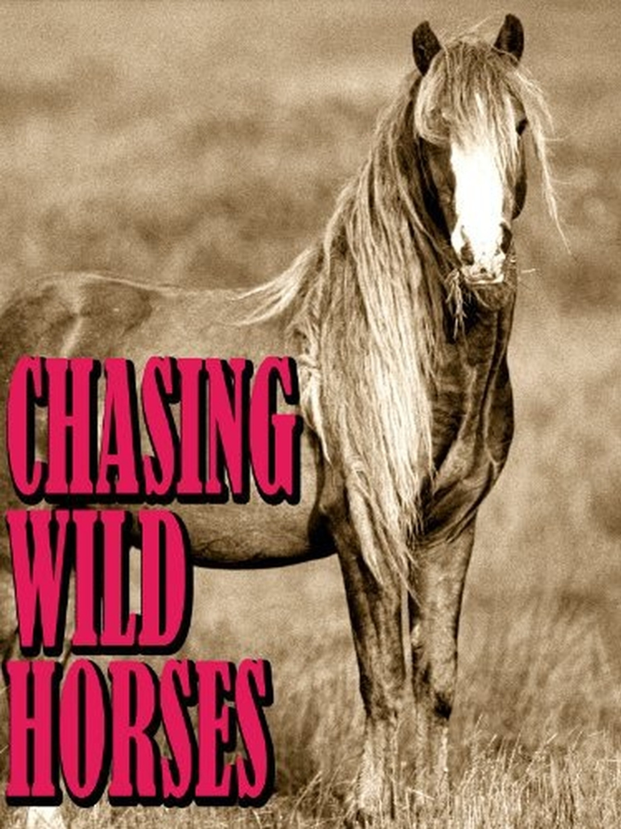 Chasing Wild Horses filmaffisch