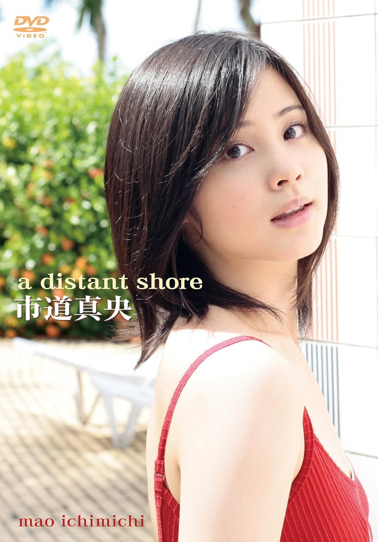 a distant shore Backdrop