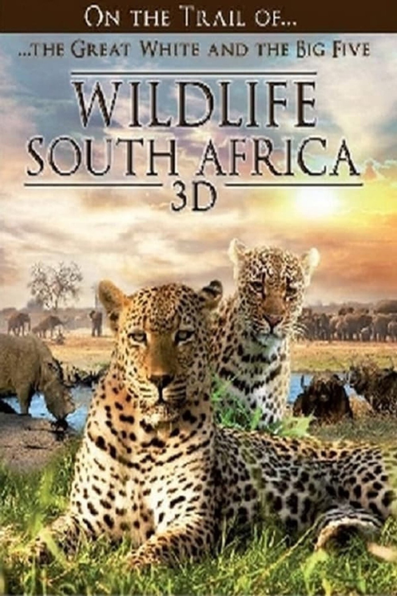 Wildlife South Africa 3D