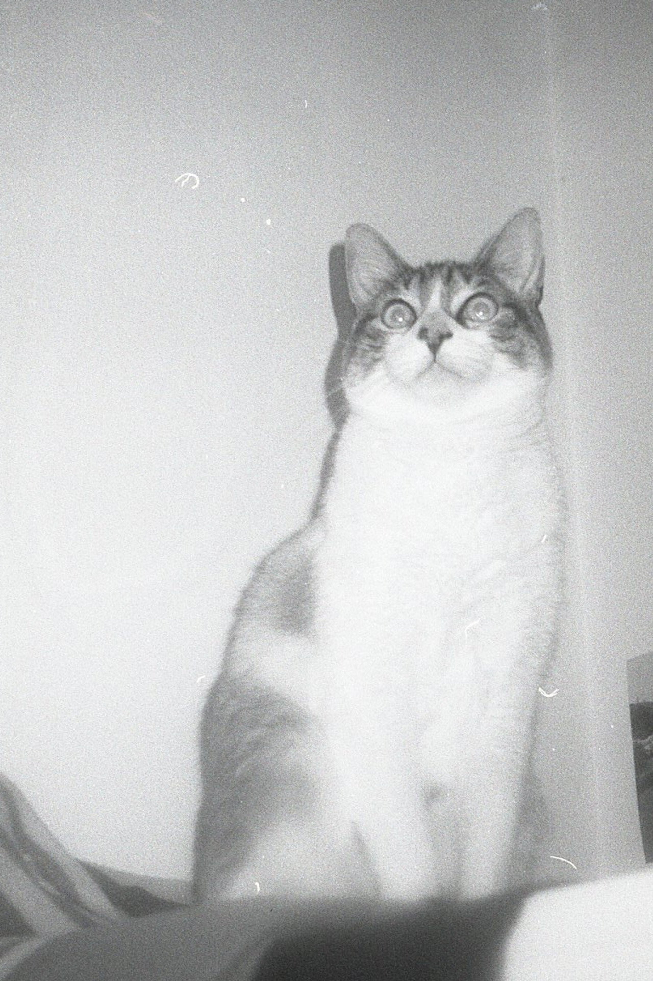 Jones