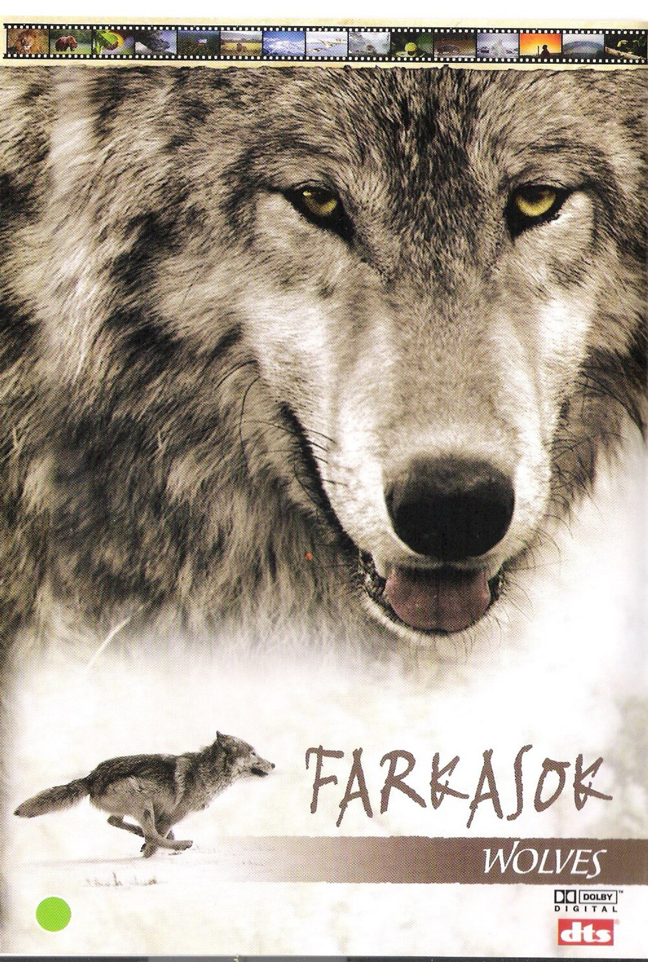 Farkasok – plakát 4