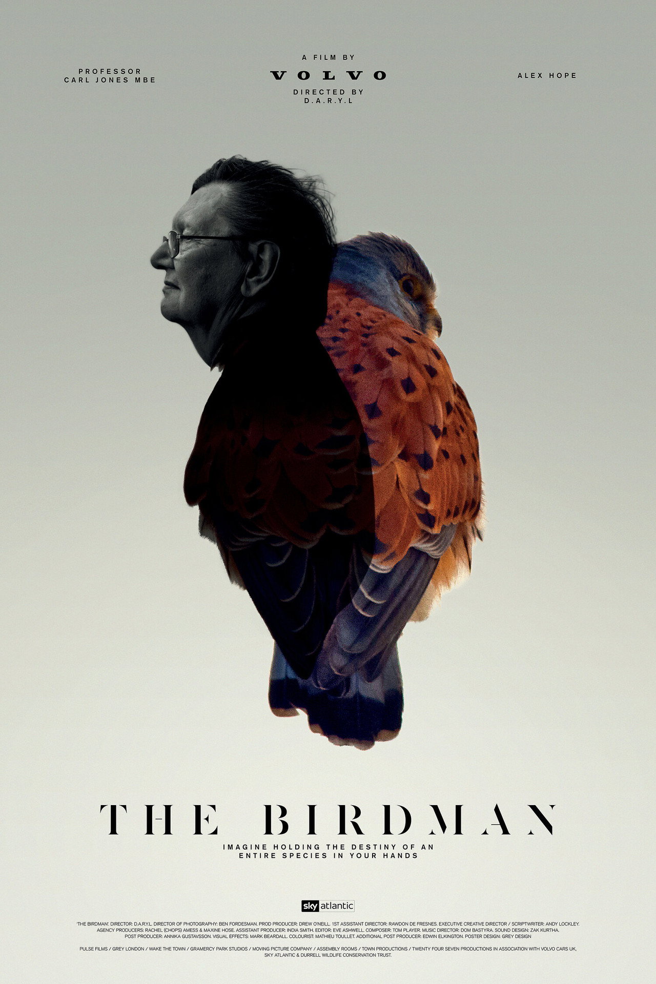 The Birdman filmaffisch