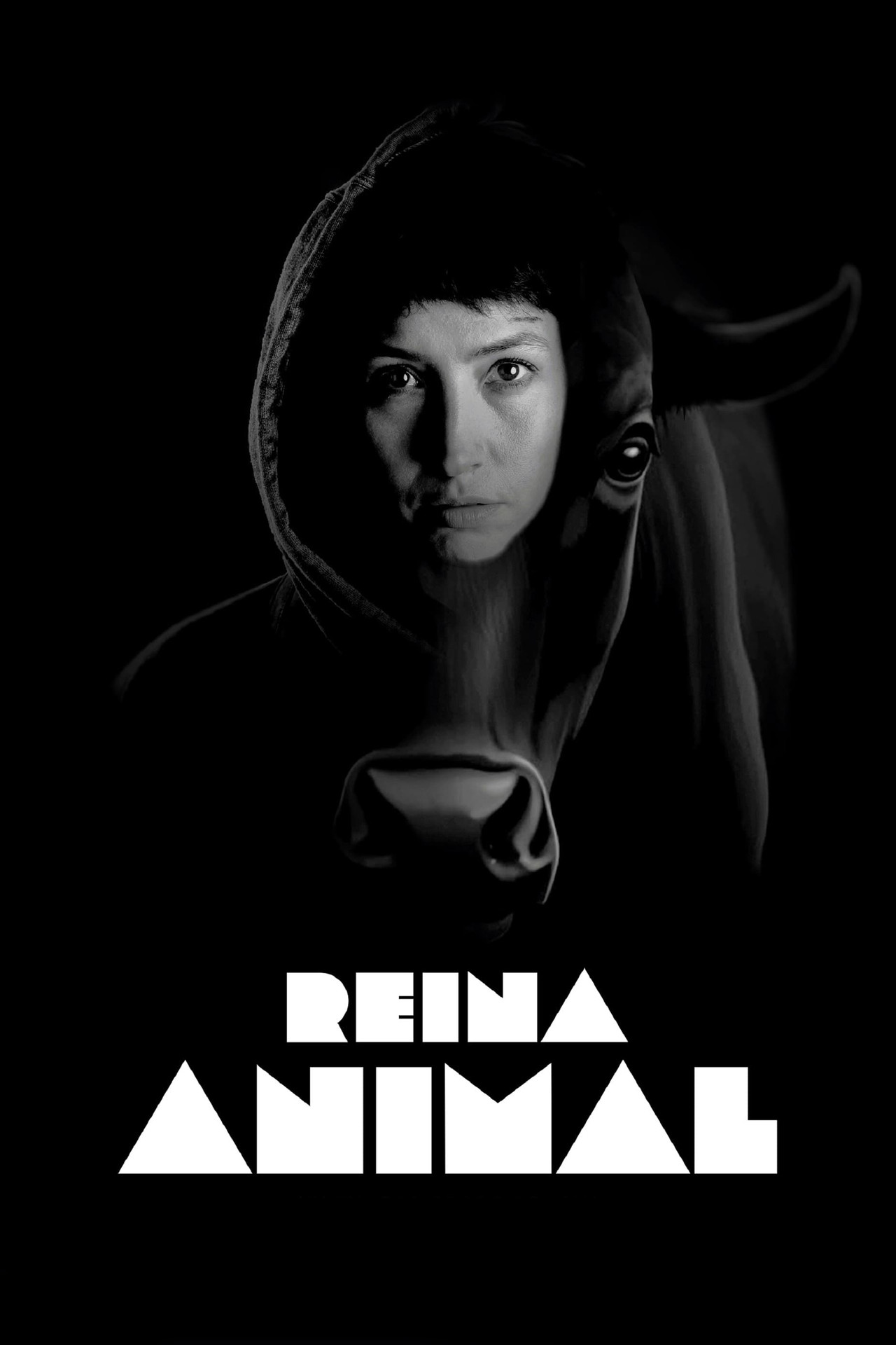 Reina animal filmaffisch