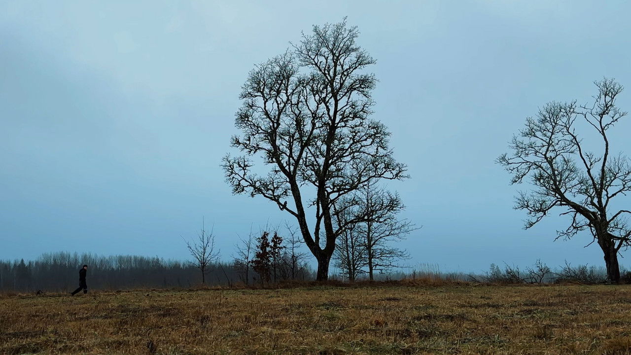 New Year's Eve Massacre 2 backdrop