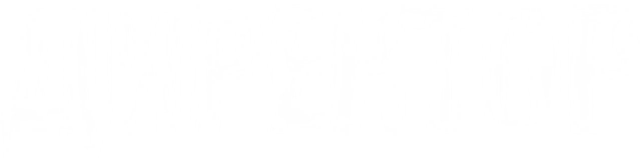 Директор