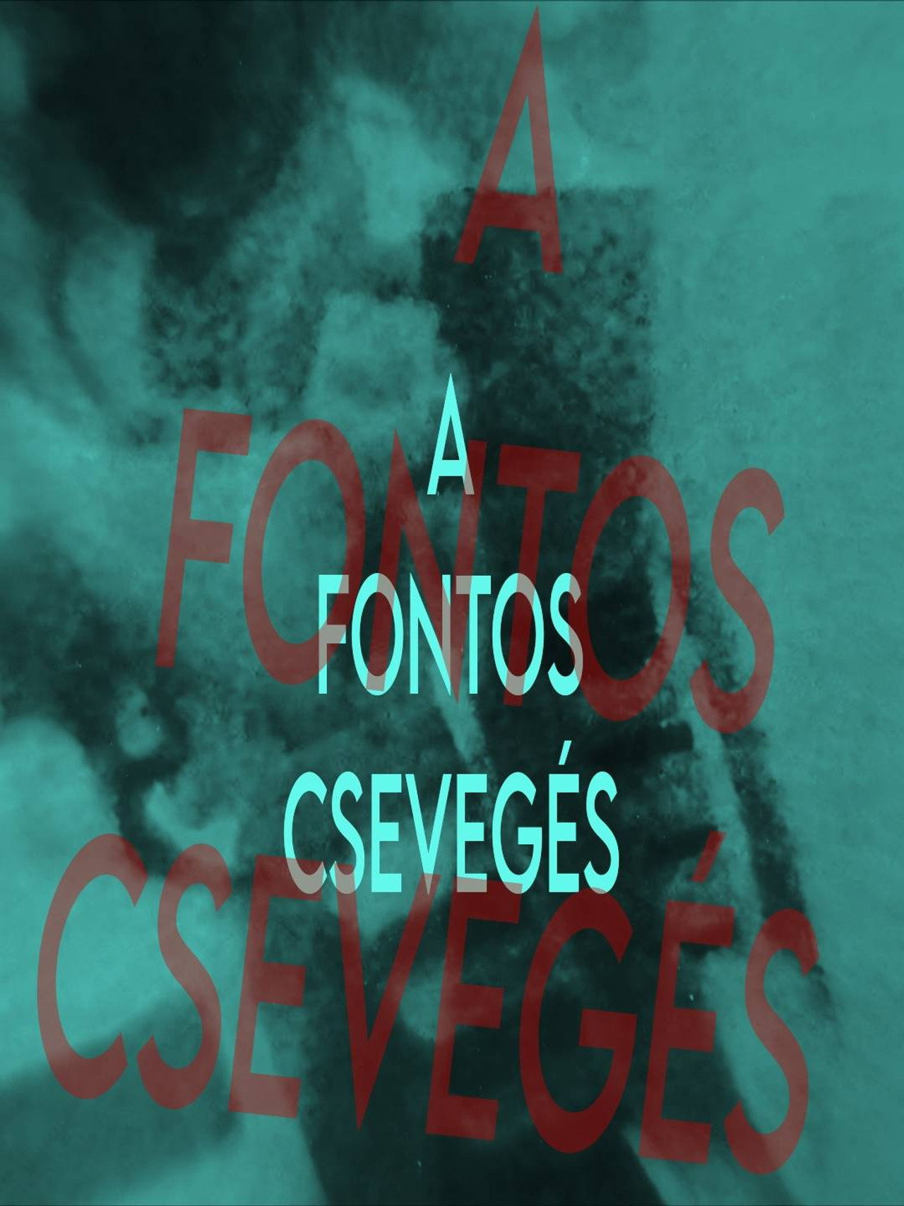 A Randizó – plakát 2