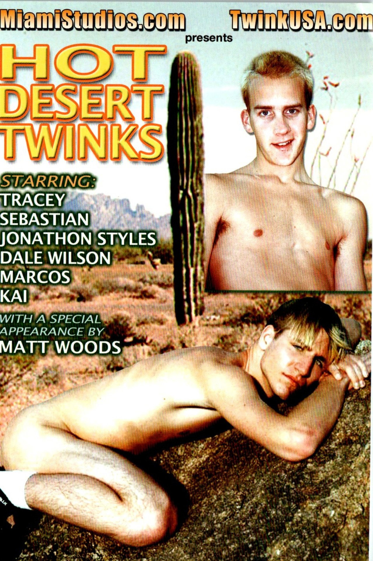 Hot Desert Twinks filmaffisch