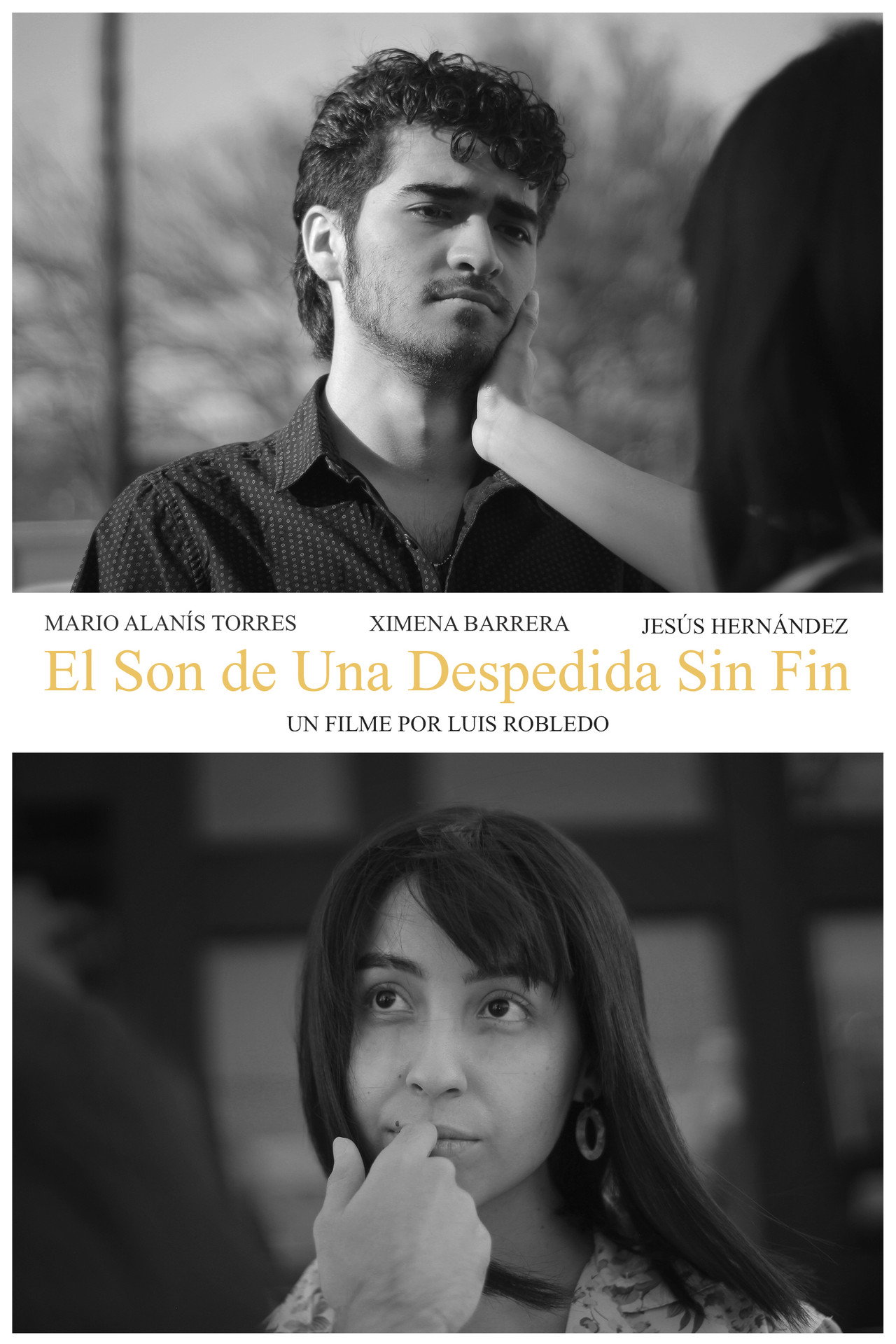 El Son de Una Despedida Sin Fin filmaffisch