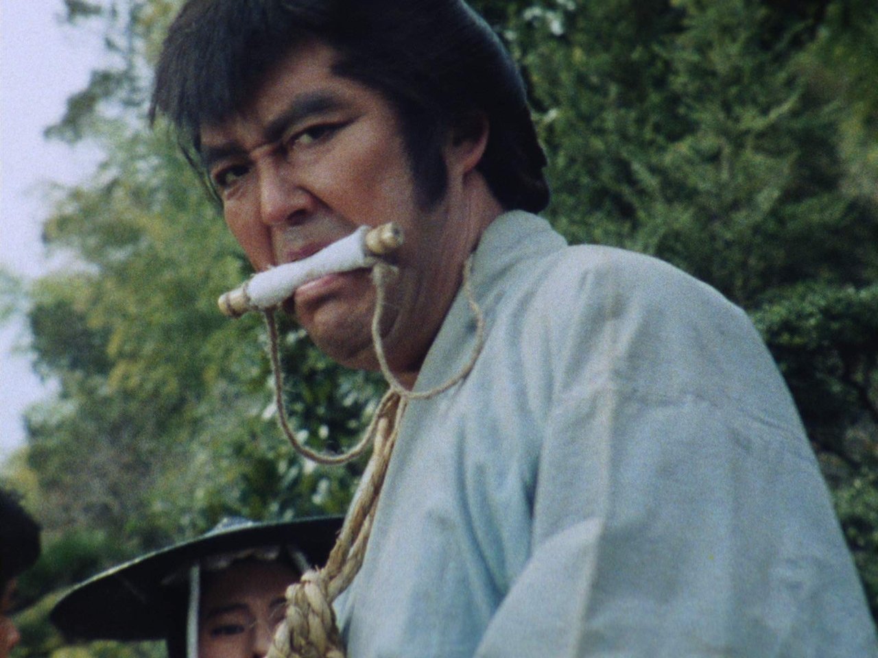 Hissatsu Shigotonin - Season 6 Episode 13 : Episode 13