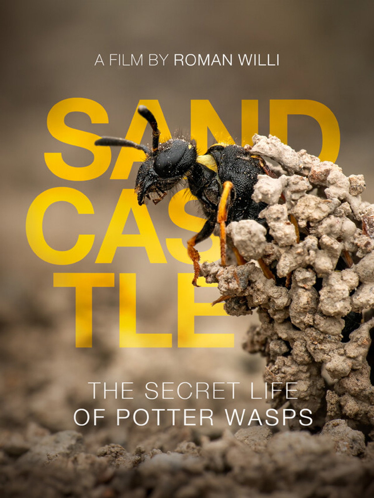 Sandcastle - The Secret Life Of Potter Wasps filmaffisch
