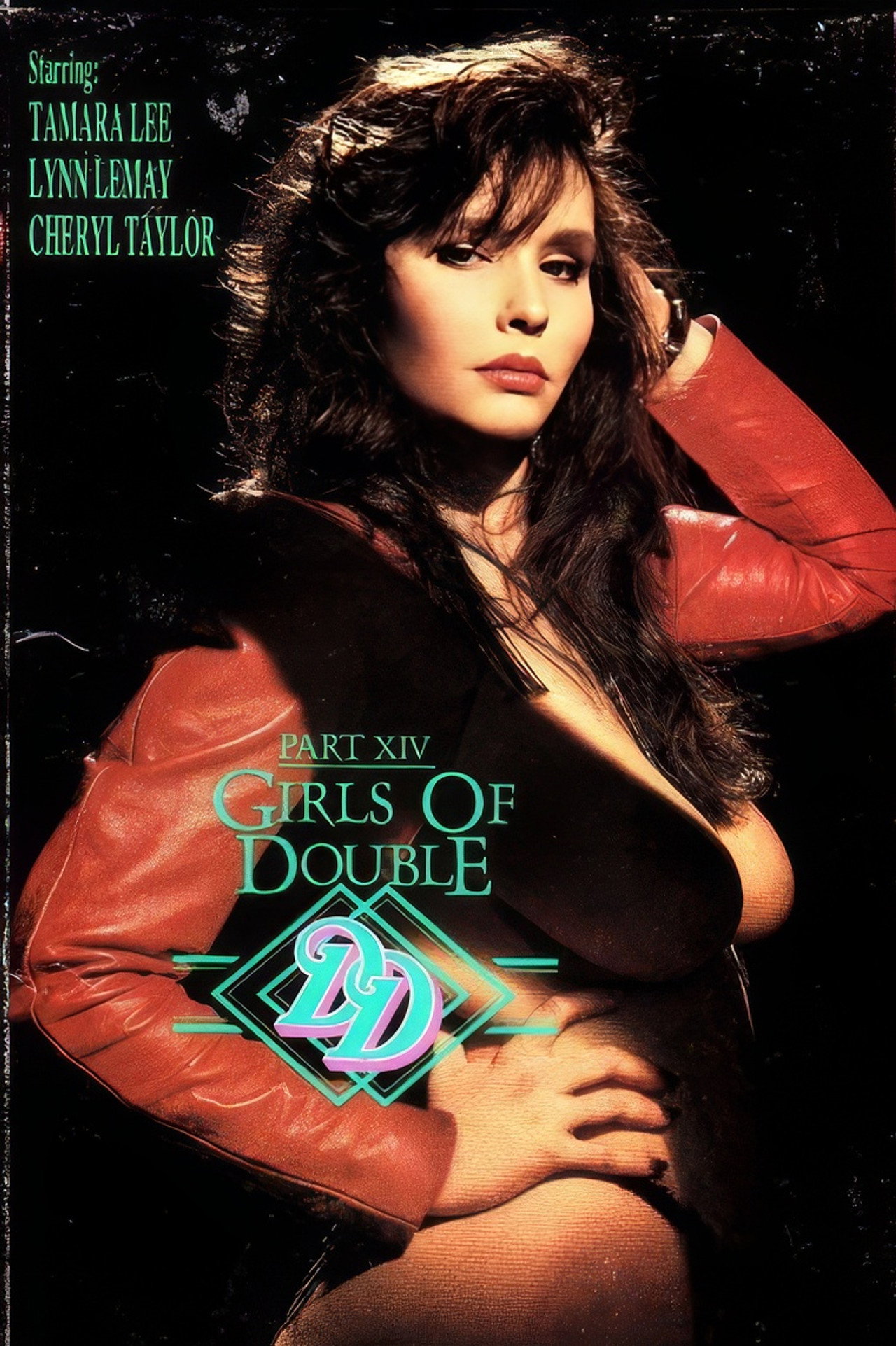 Girls of Double D 14 filmaffisch