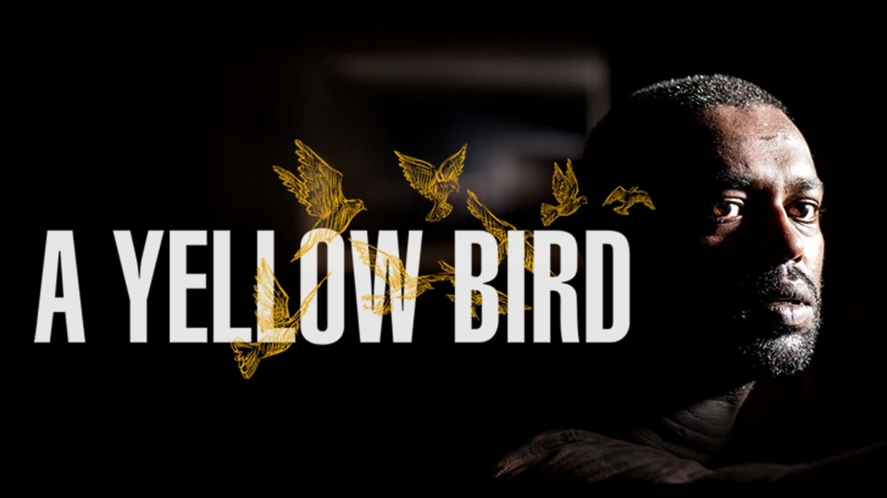 A Yellow Bird background