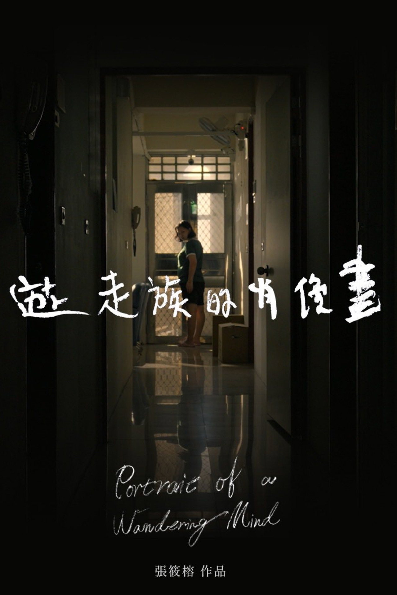 遊走族的肖像畫 filmaffisch