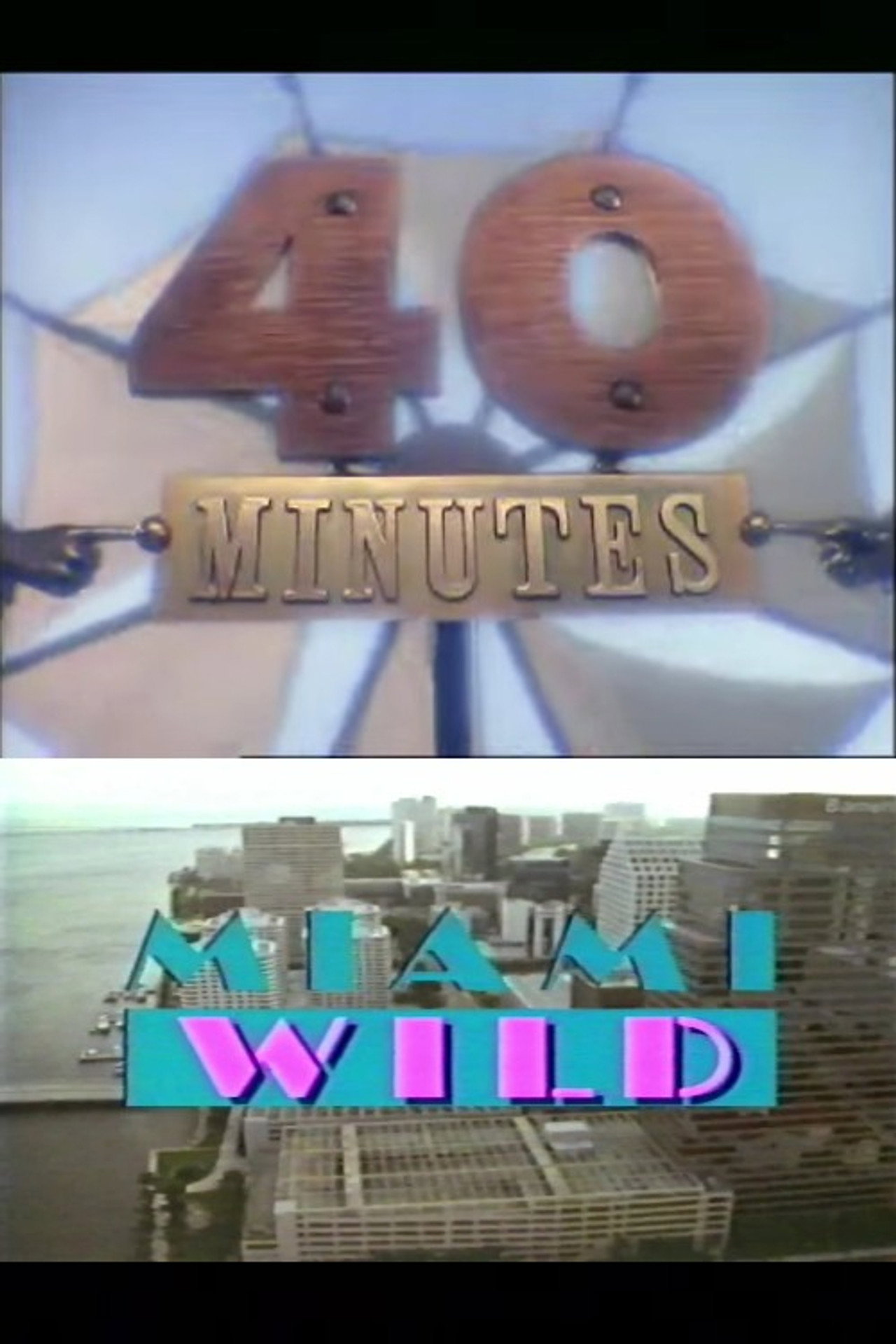Miami Wild filmaffisch