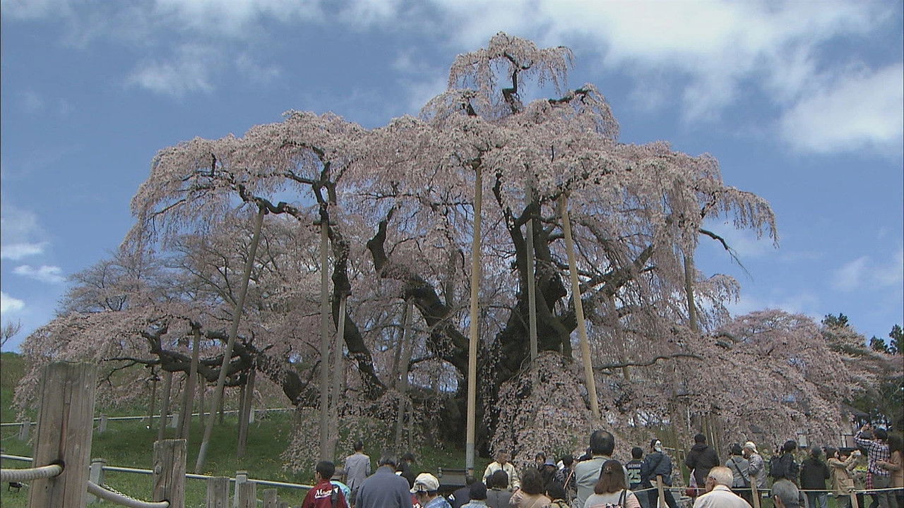 新日本風土記 — Épisode 14