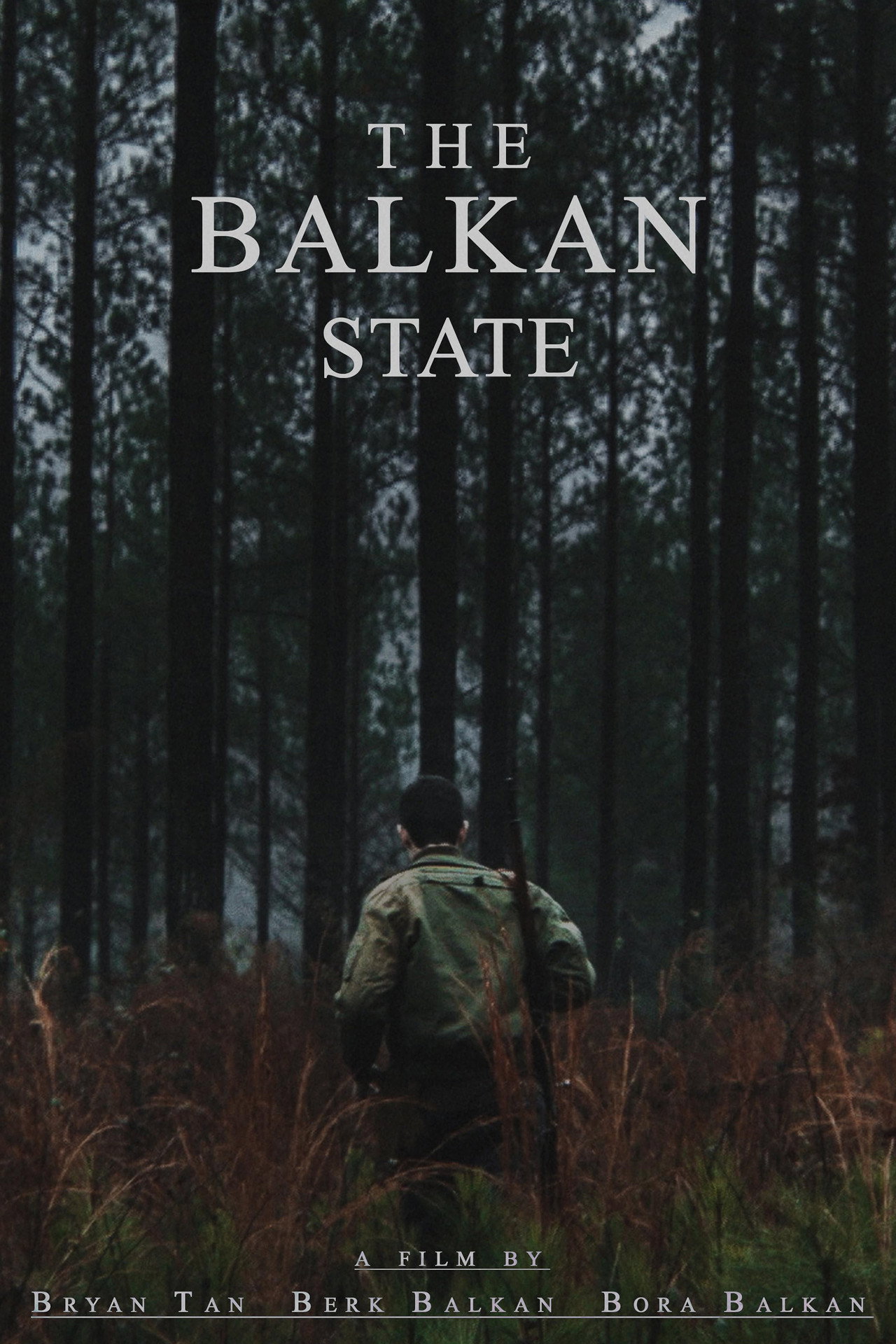 The Balkan State Backdrop