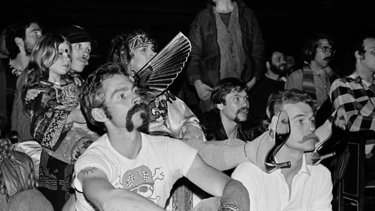 Zeitgeist 1977: The First Festival Backdrop