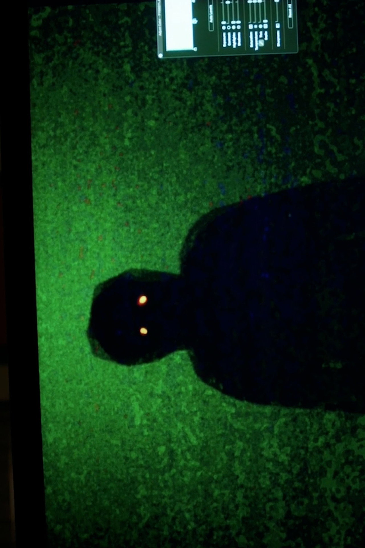 Dektol filmaffisch