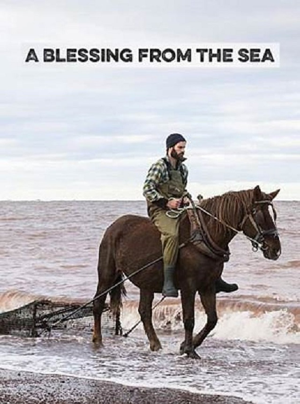 A Blessing from the Sea A Blessing from the Sea