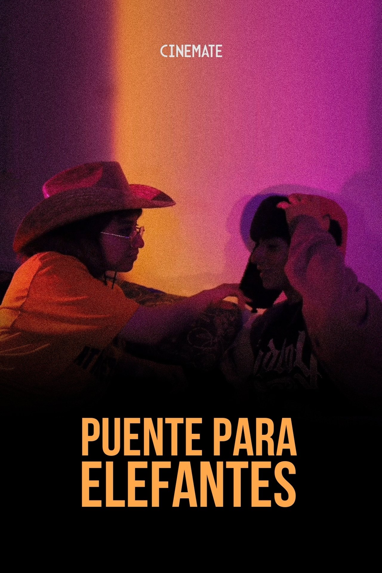 Puente Para Elefantes poster