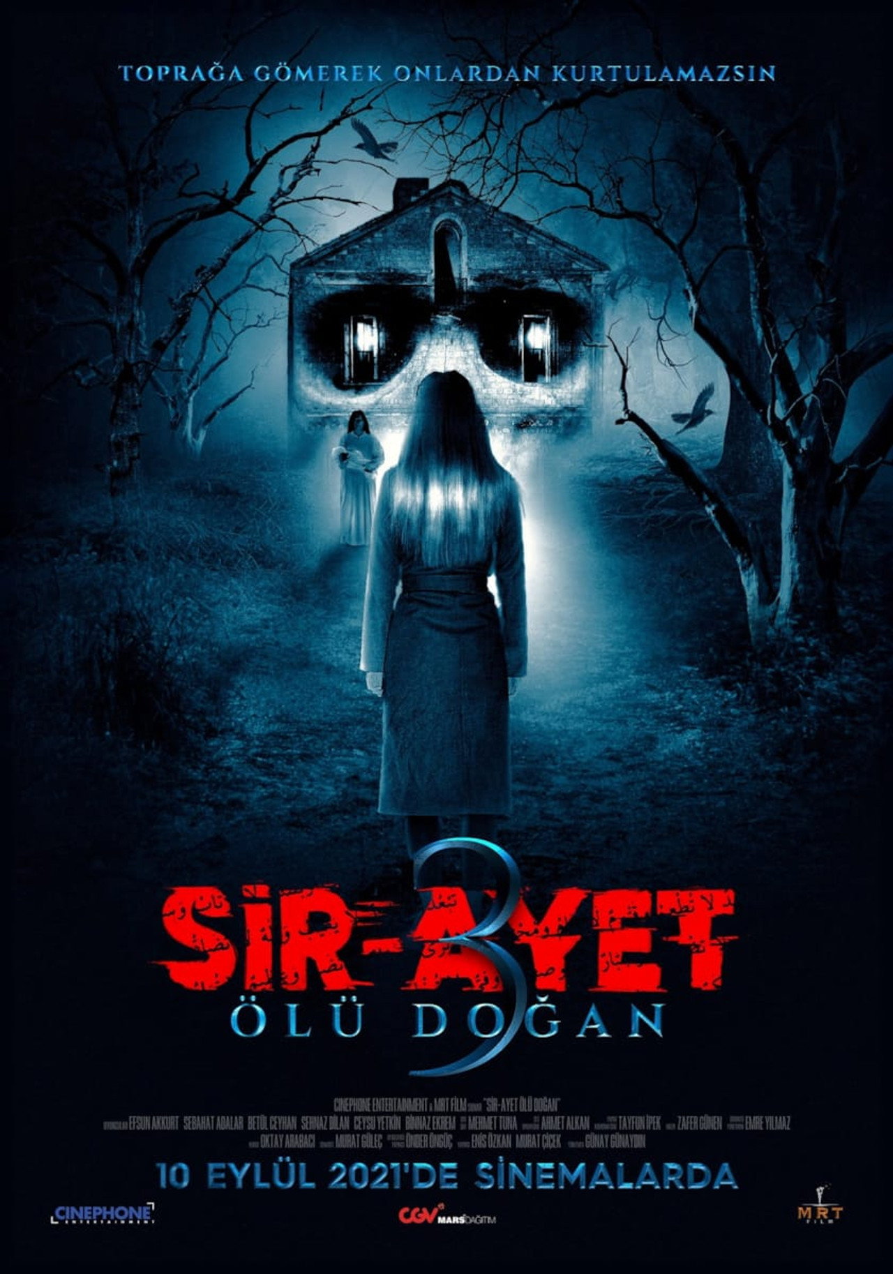 Sir-Ayet: Ölü Doğan filmaffisch