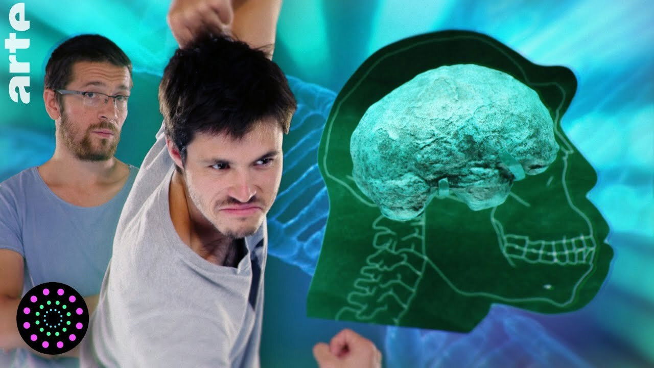 Le Vortex — La civilisation dans nos gènes