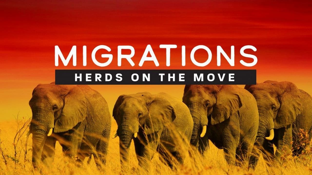 Migrations: Herds on the Move background