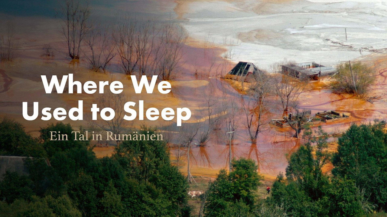 Where We Used to Sleep