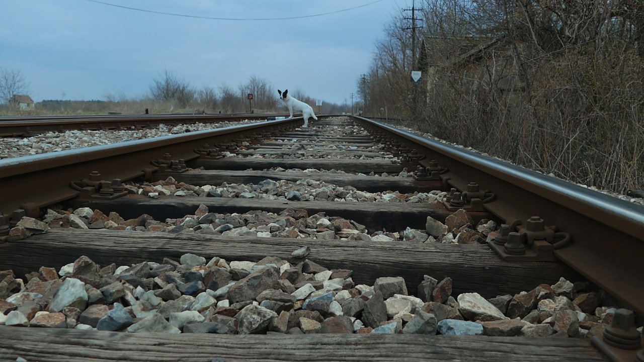 scenes 10