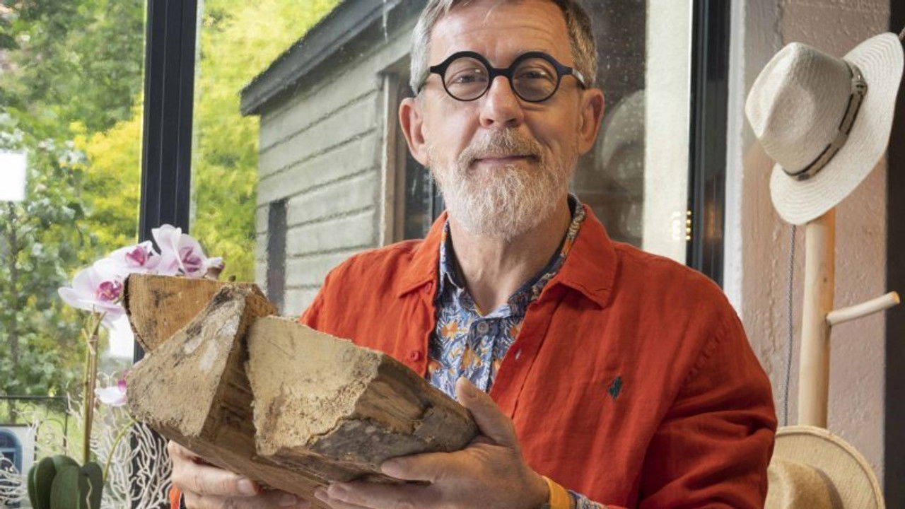 C Jamy — L'automne : la plus belle des saisons ?