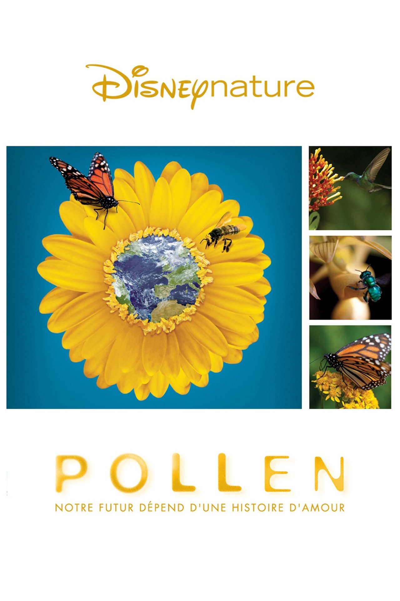 Pollen poster