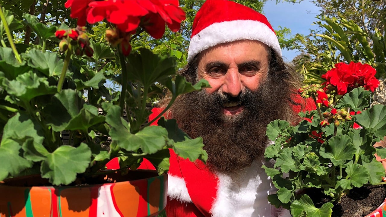 Gardening Australia - Season 0 Episode 3 : Christmas Special 2019