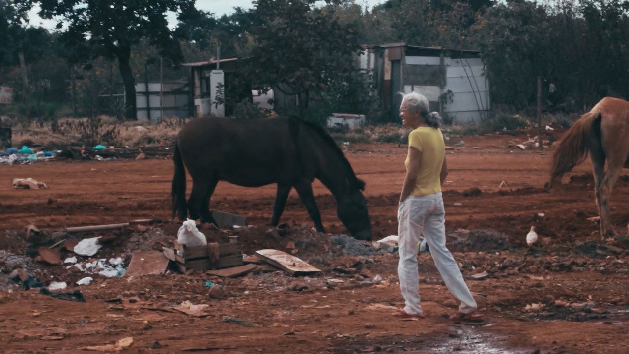Maluco Voador: Përtej Zërit backdrop