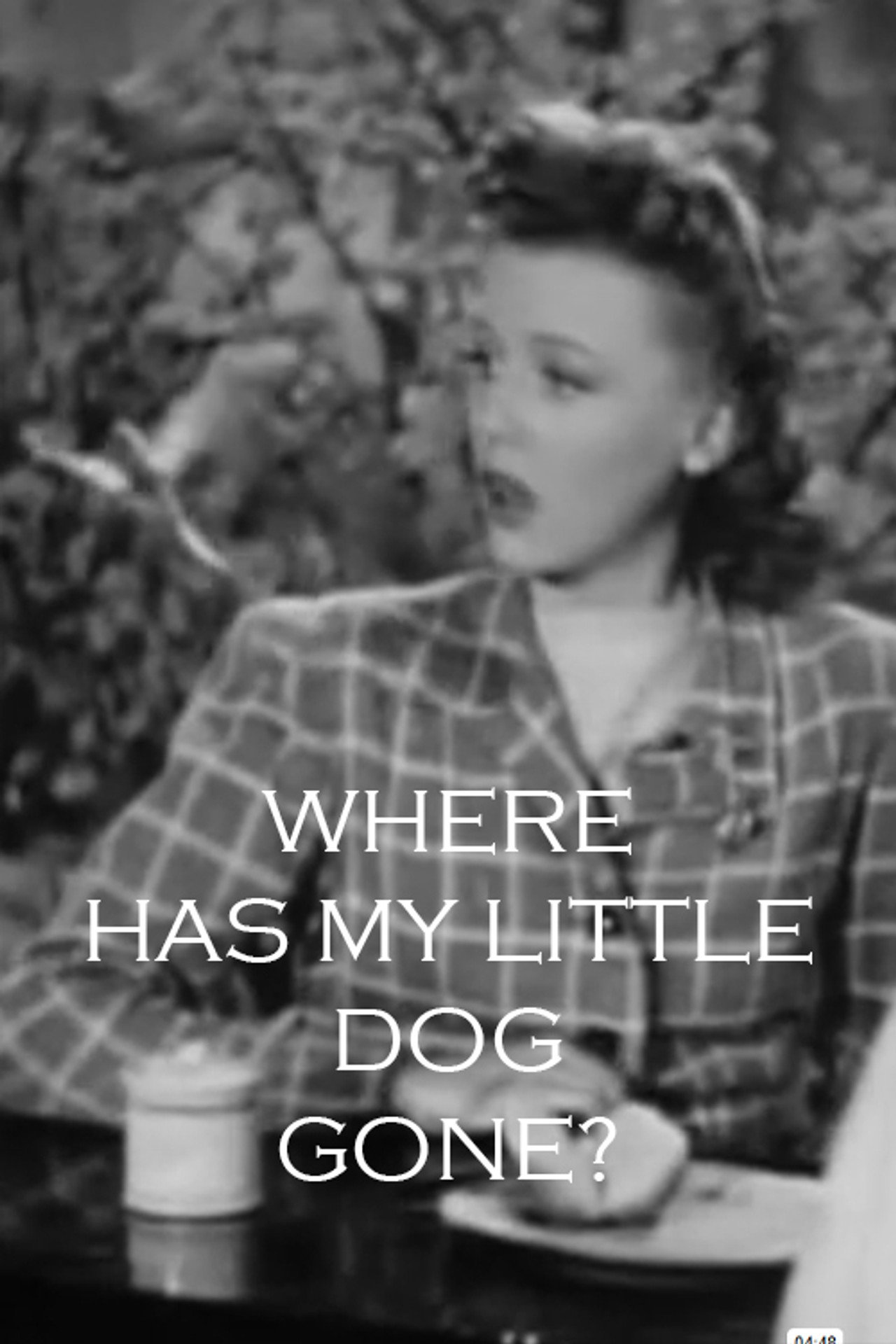 Where Has My Little Dog Gone filmaffisch