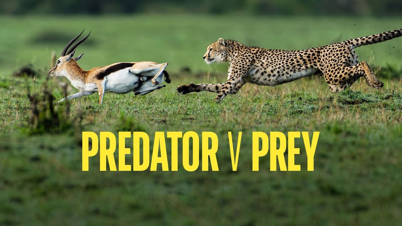 Predator v Prey background