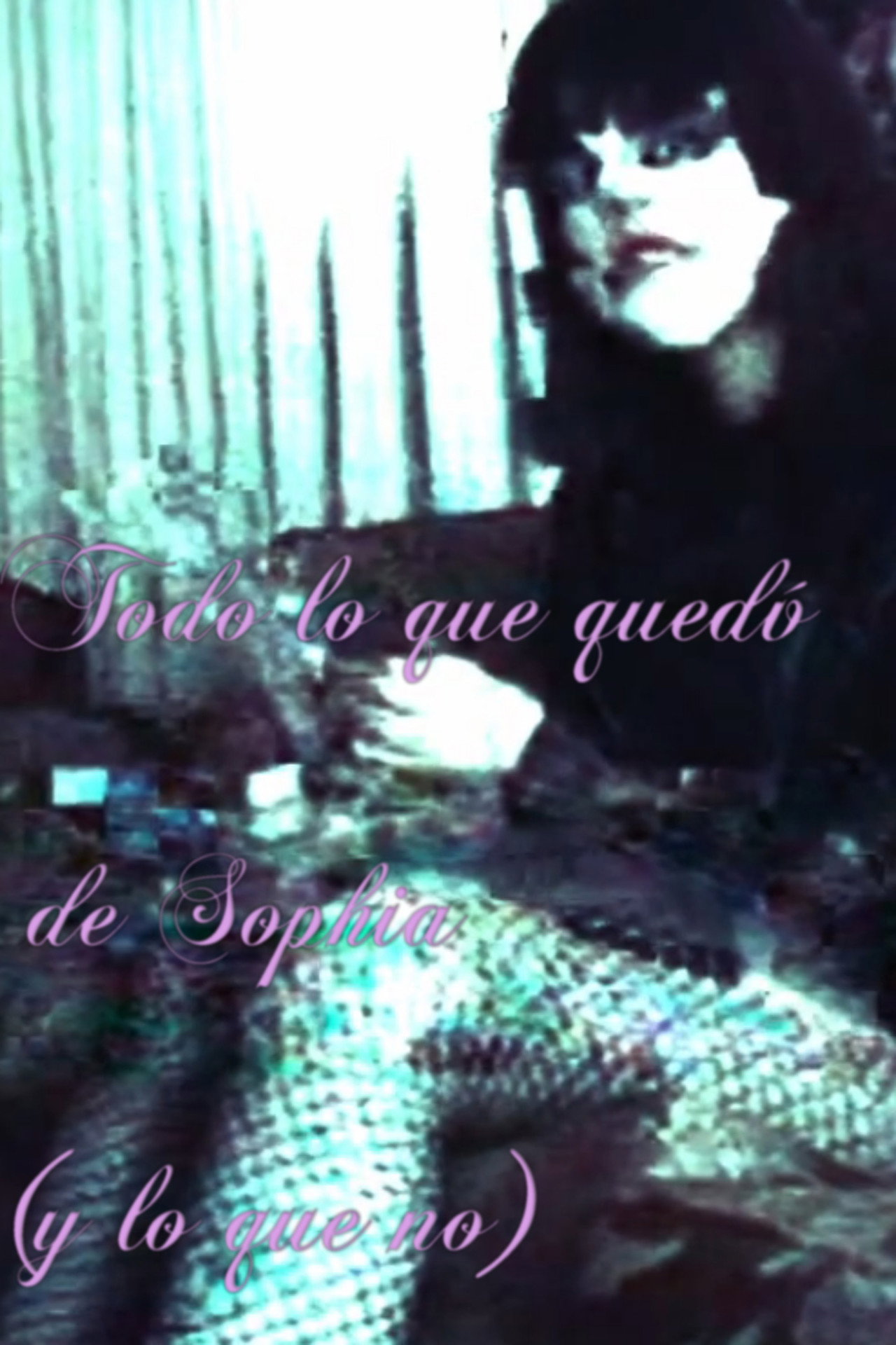 Everything That Remained of Sophia (And What Did Not)