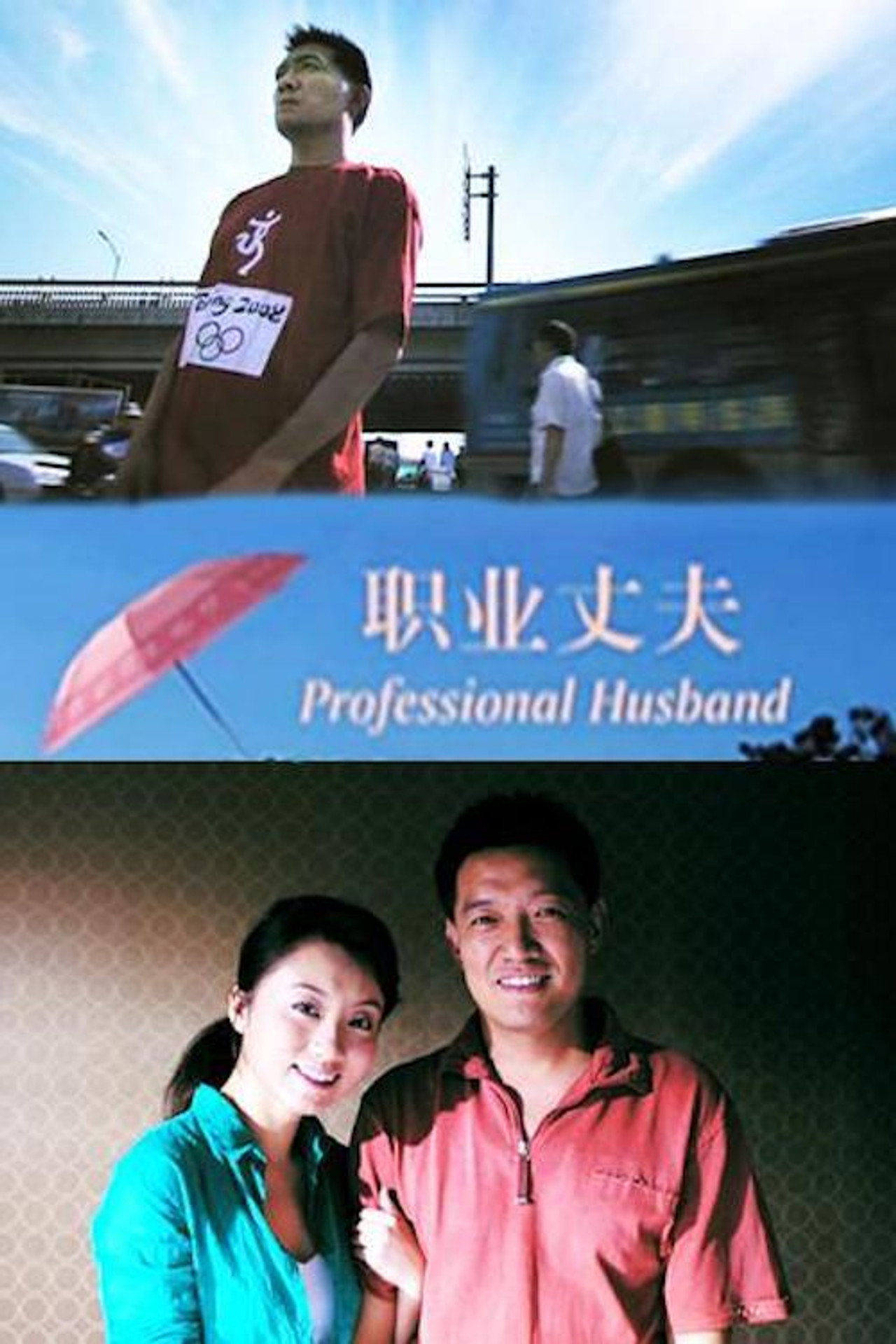 职业丈夫 filmaffisch